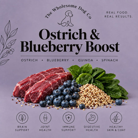 Ostrich & Blueberry Boost - FROZEN