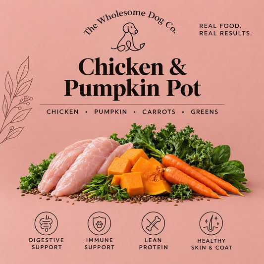 Chicken & Pumpkin Pot - FROZEN