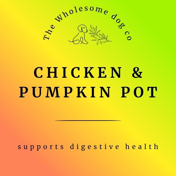 Chicken & Pumpkin Pot - FROZEN